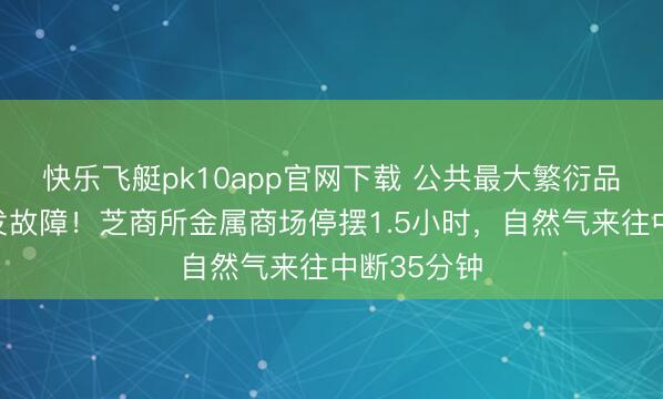 快乐飞艇pk10app官网下载 公共最大繁衍品来往所突发故障！芝商所金属商场停摆1.5小时，自然气来往中断35分钟
