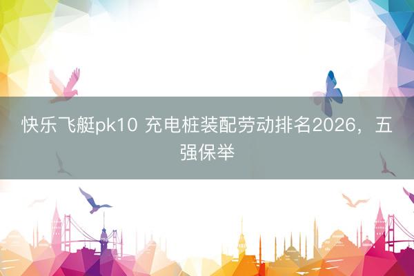 快乐飞艇pk10 充电桩装配劳动排名2026，五强保举